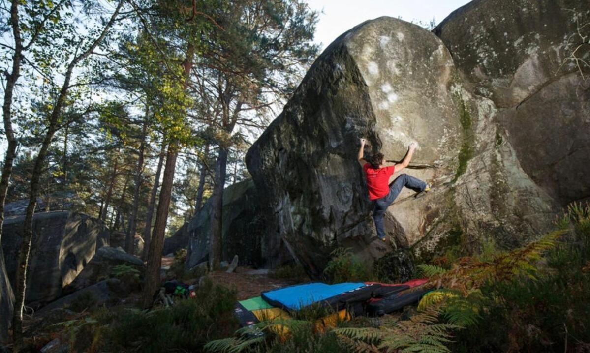 Le Jardin Des Hautes Presles Le Fer A Cheval Fontainebleau Exteriör bild